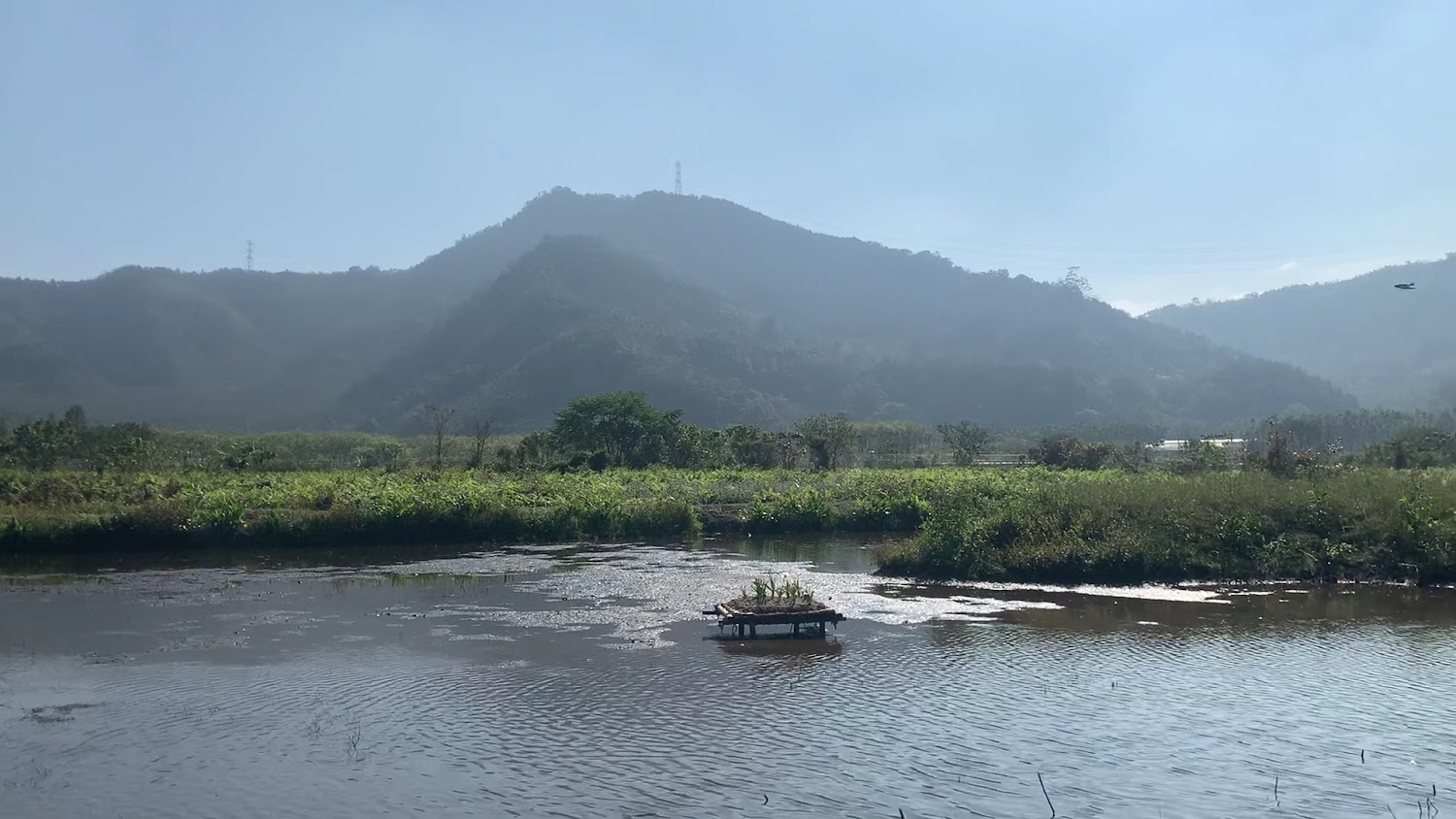 泥炭土活盆地濕地與漂浮小島景觀