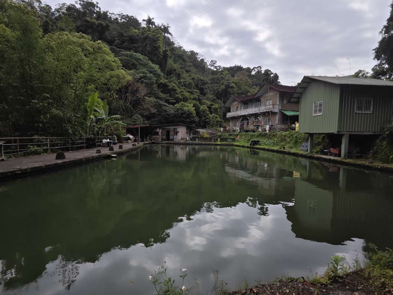 寧靜池塘與周邊農舍景色