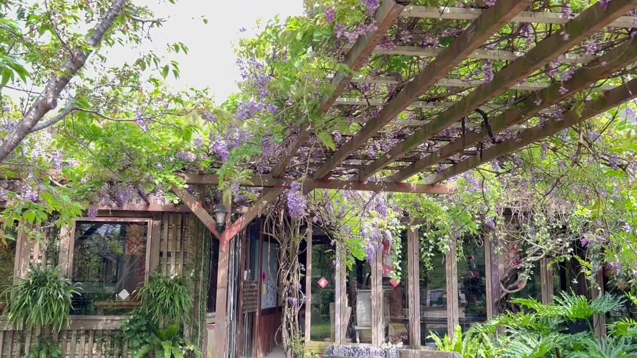 藤蔓花架與庭園涼亭