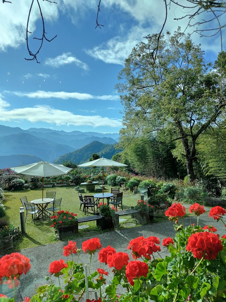 阿里山四季星空花園桌椅與遠山景色
