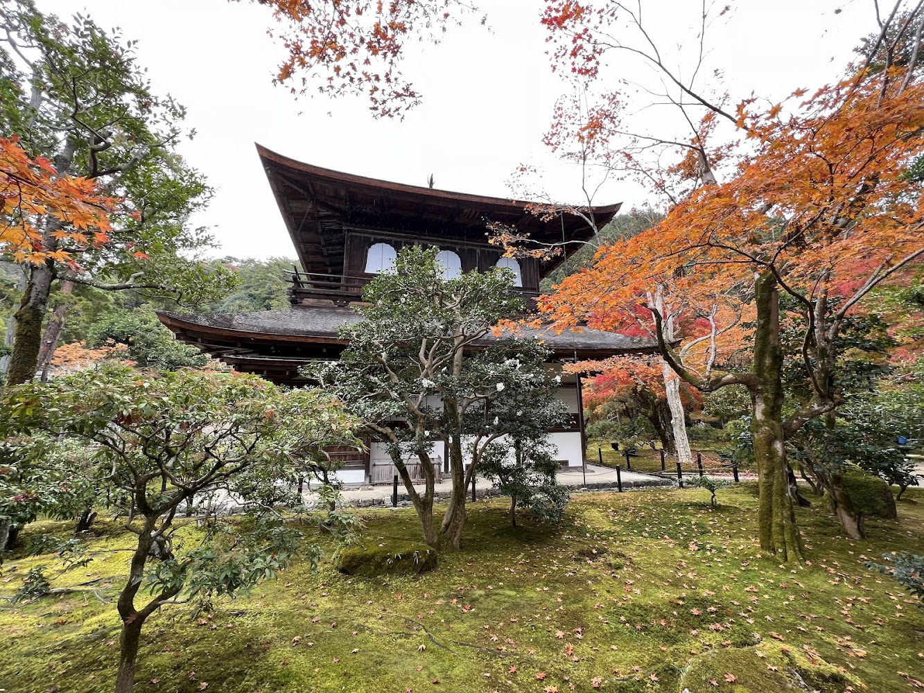 慈照寺秋意與日式建築