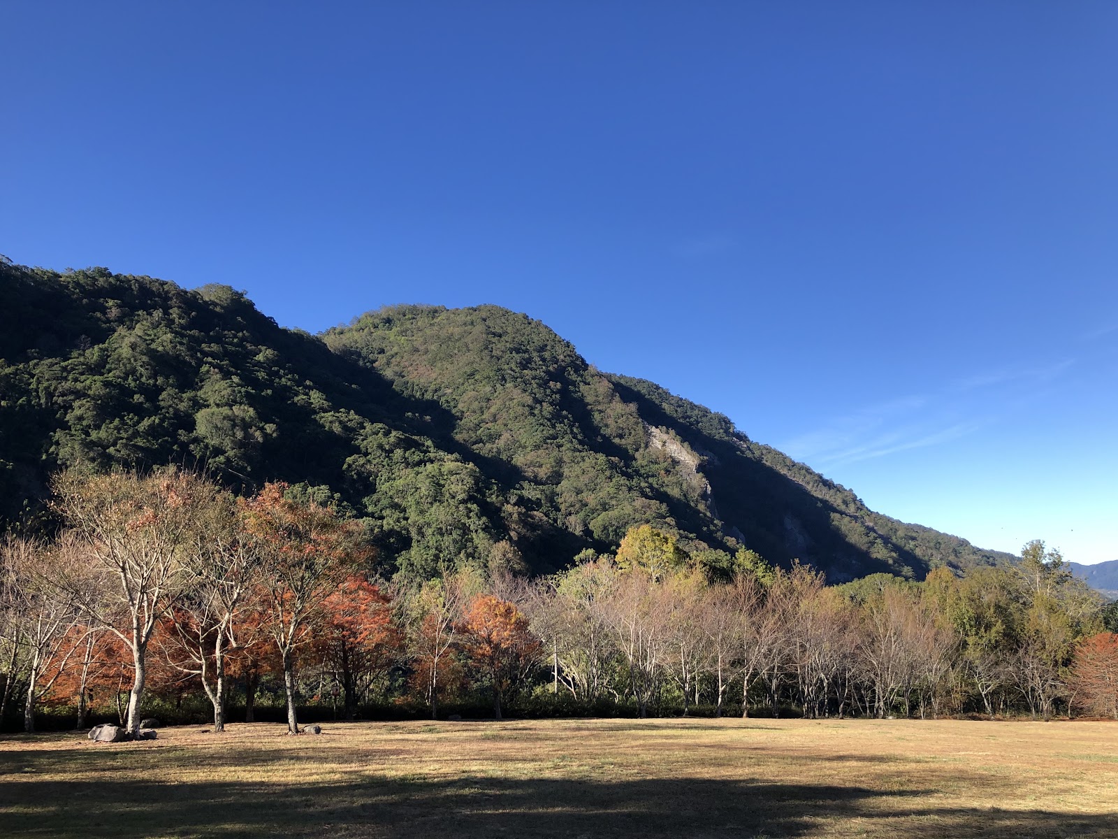 十鼓仁糖文創園區戶外大草坪秋天彩色樹林藍天山丘
