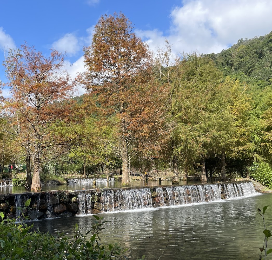 三層坪自然瀑布水池與秋色樹林