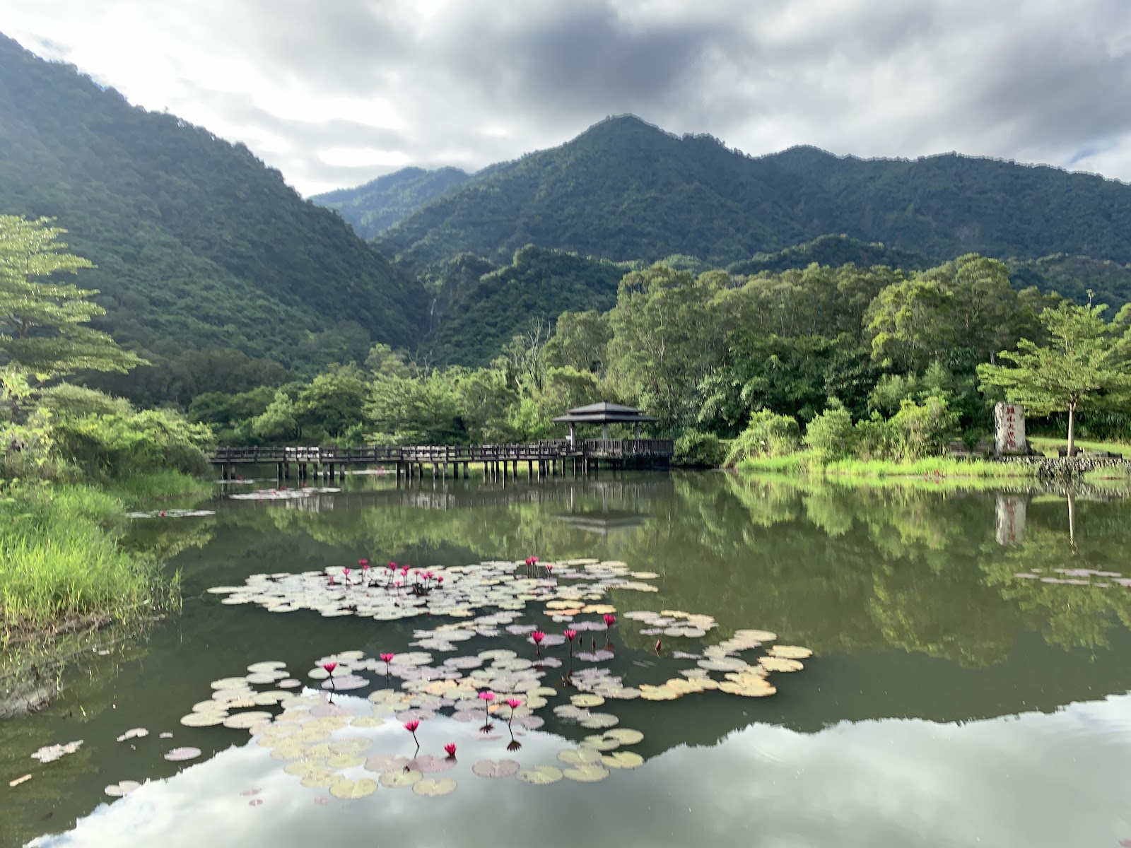 羅山泥火山花蓮富里生態湖荷花