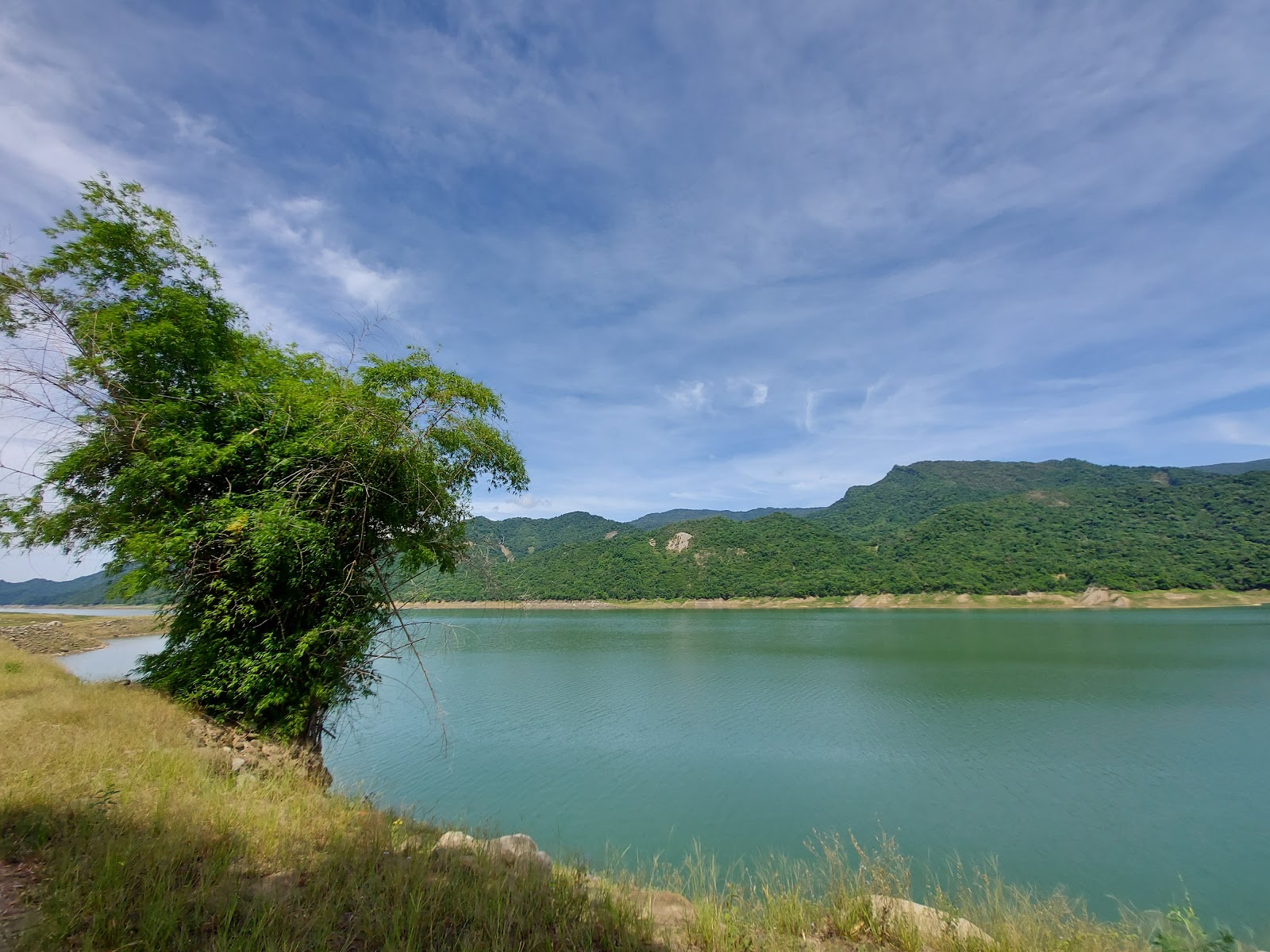 曾文水庫湖岸近景,湖邊大樹映碧綠水面,嘉義大埔秘境