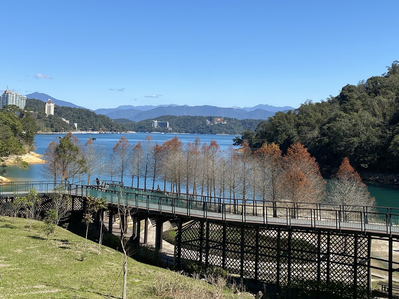 橫跨湖面的木棧道與落羽松
