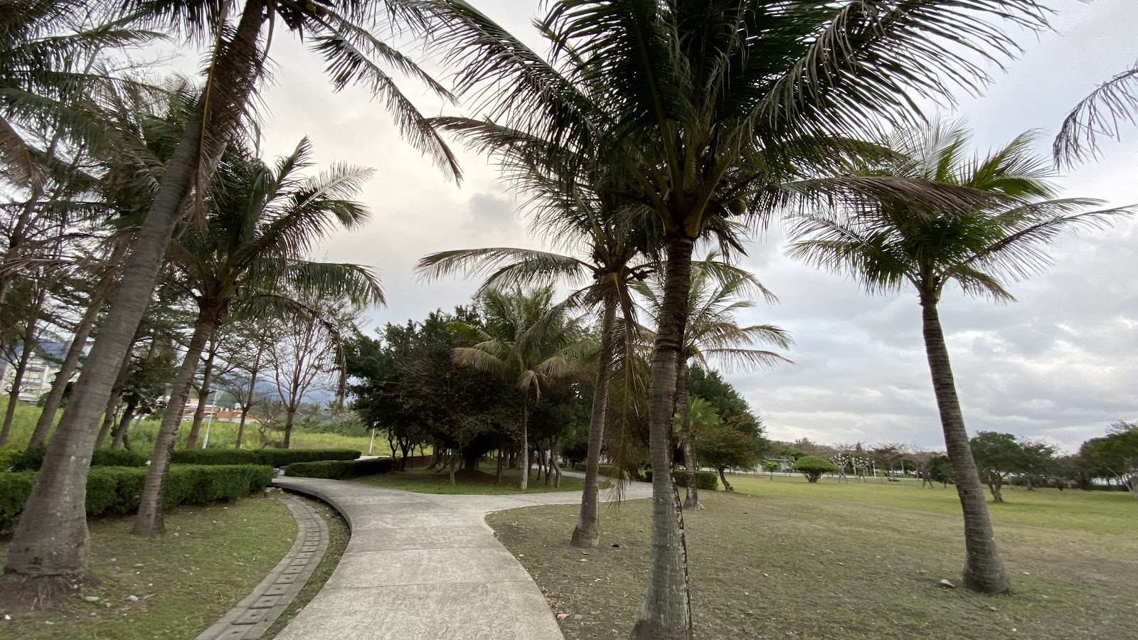 成功鎮海濱公園椰林步道