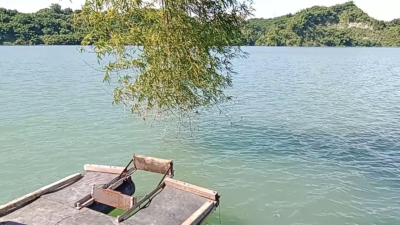 這張圖片主要有一條樹枝垂掛在水面上,水面平靜,遠方有一片綠意盎然的樹林和山丘,前方則有一艘木製小船的船頭。圖片無浮水印。
