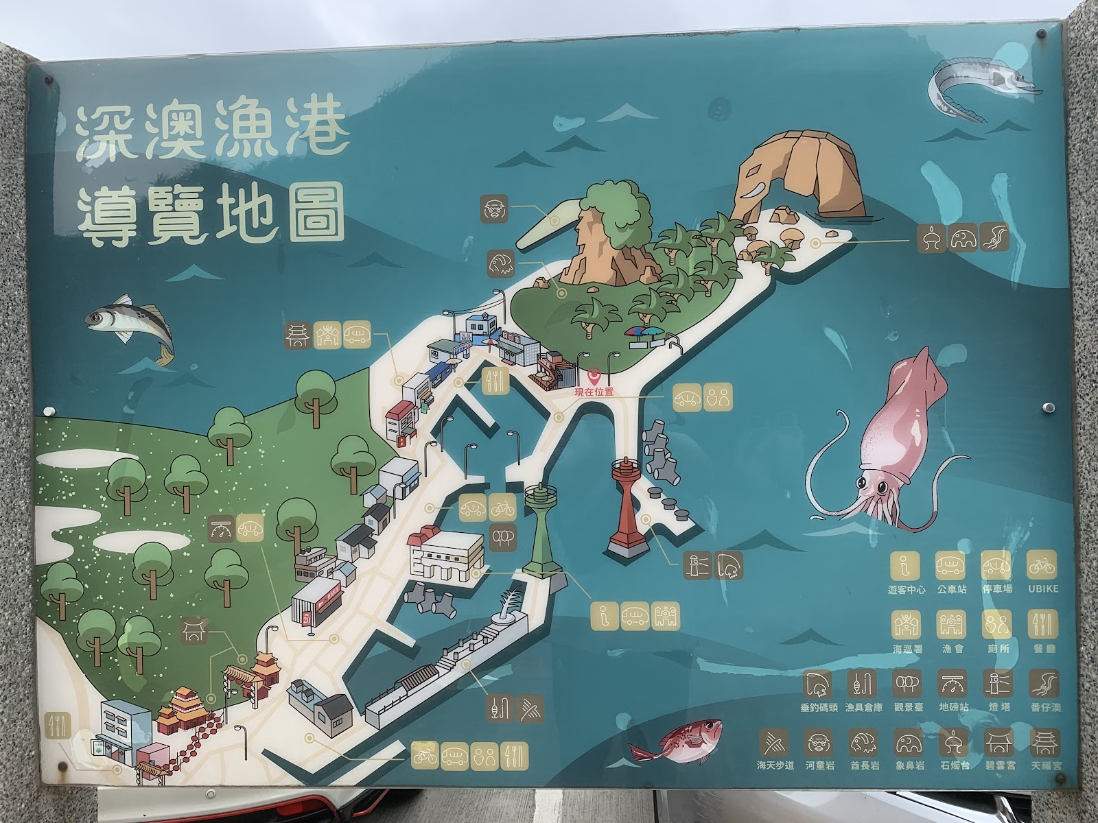深澳漁港周邊綠意植被自然景色新北