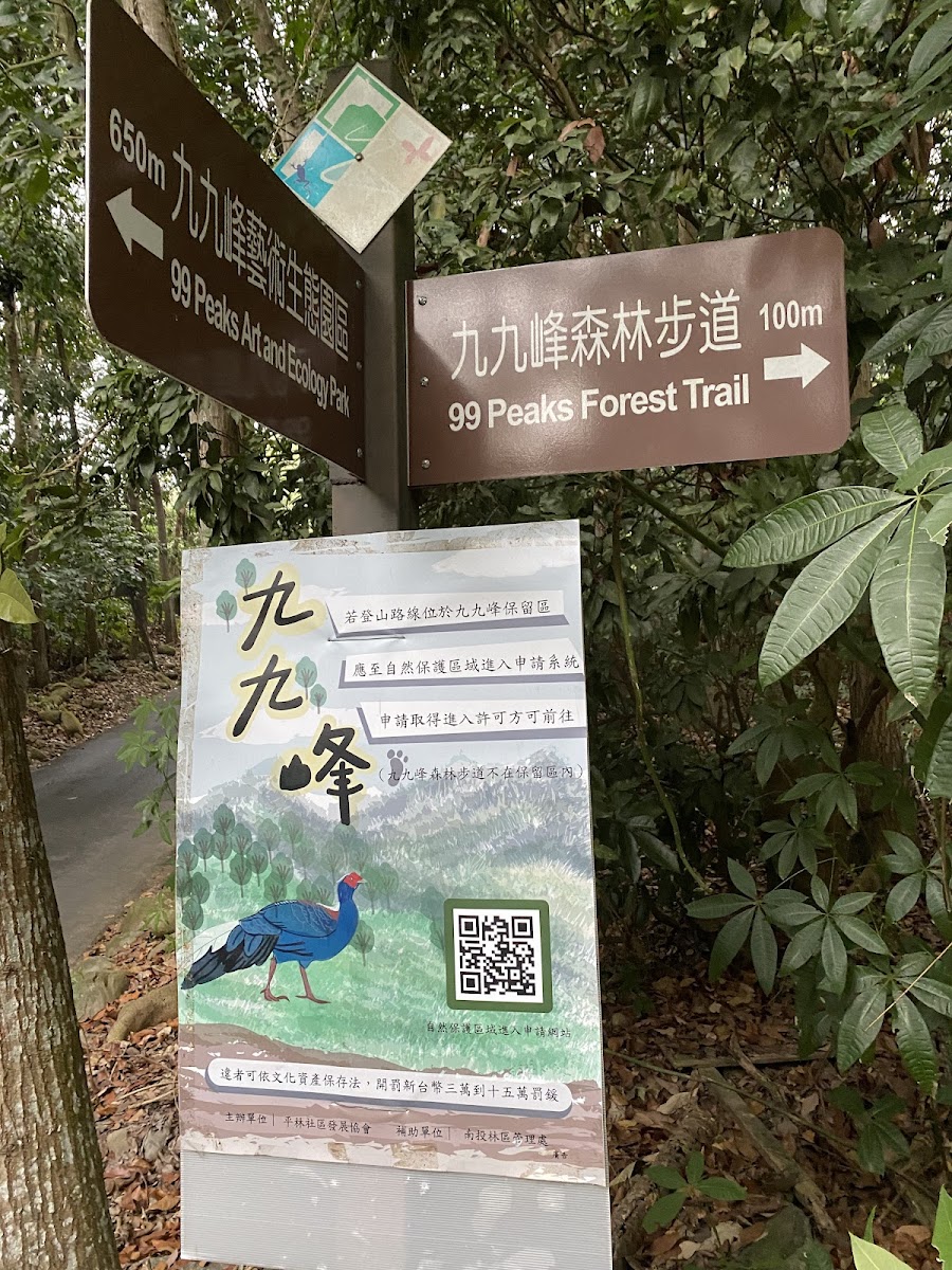 九九峰森林步道入口指示牌,藍腹鷳解說牌,綠色森林步道背景