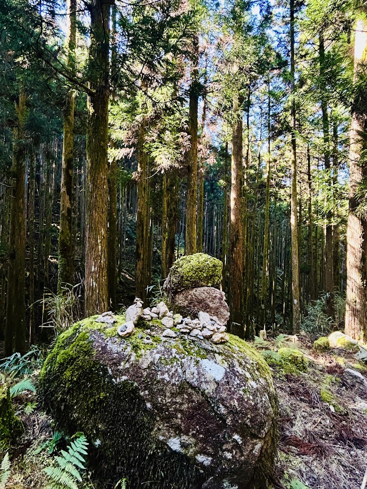 熊野古道大雲取越苔石景觀