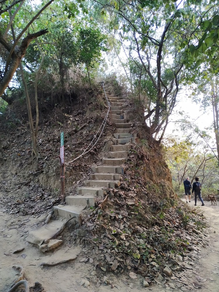 山徑泥土階梯，旁邊有登山者與狗