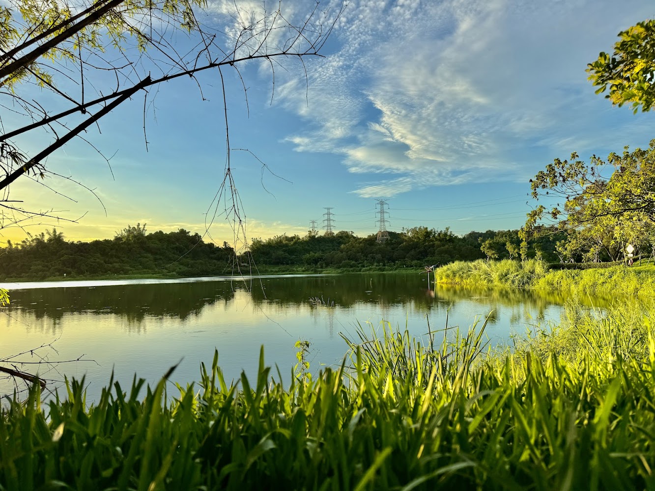 觀音湖藍天白雲與湖畔草地景觀