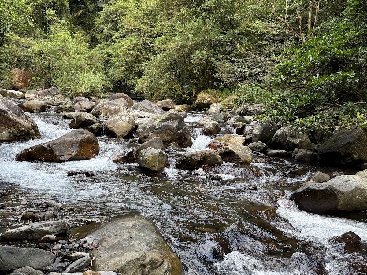 松羅溪清澈溪流流過岩石