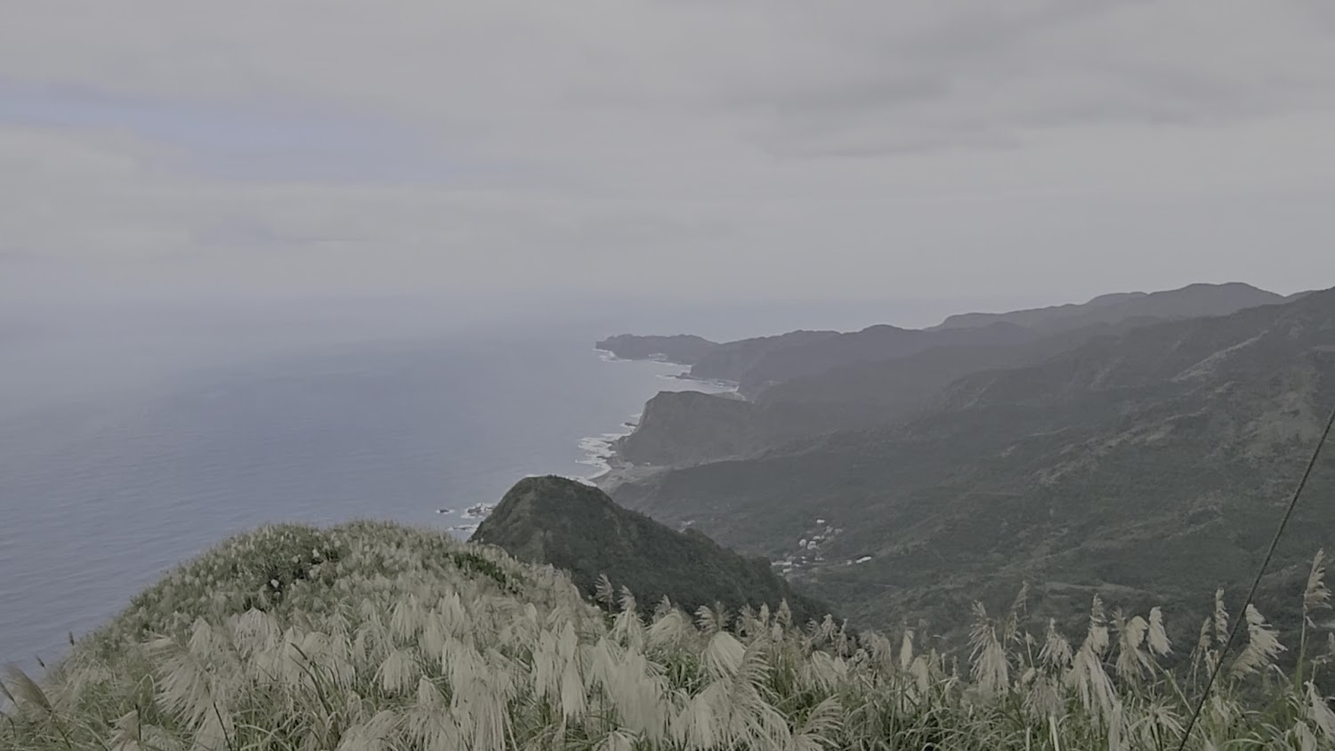 芒草與沿海山脈海岸線景色