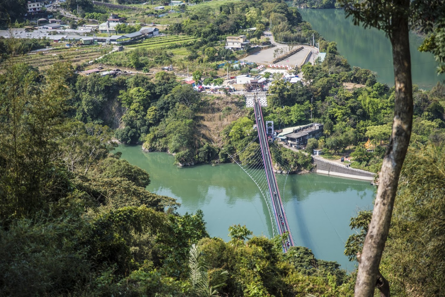 新溪口吊橋與周邊農田村落景觀