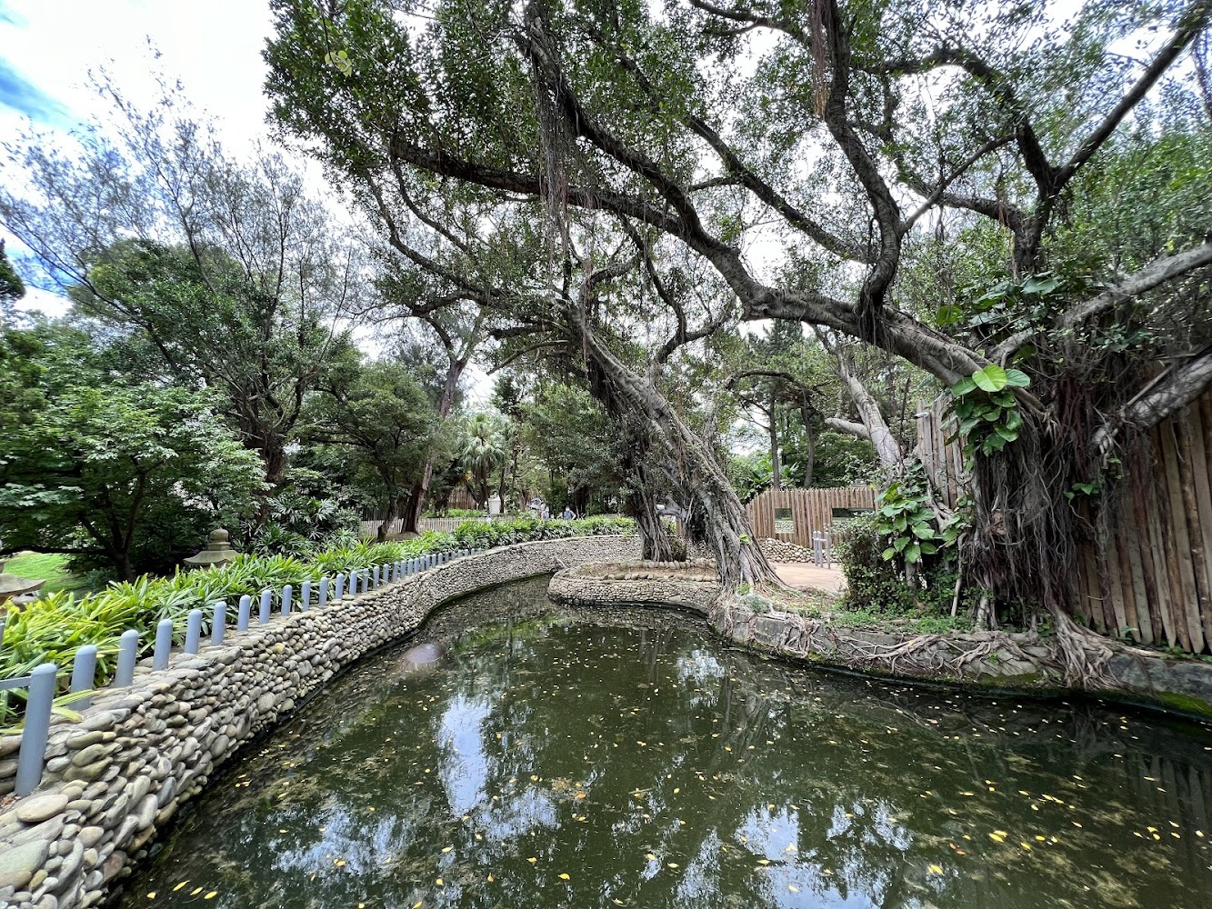 新竹動物園內自然感濃厚的池塘景觀