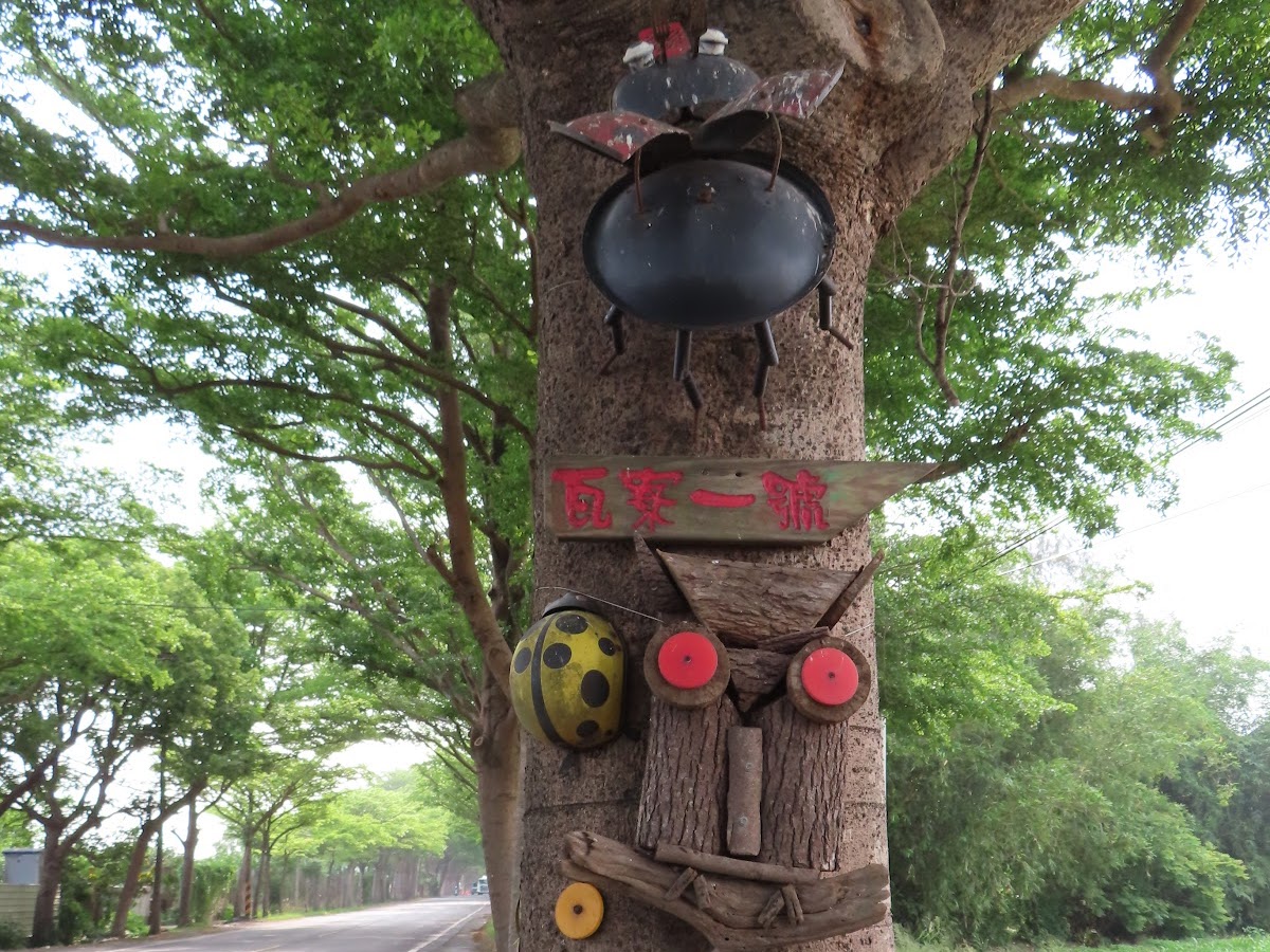 學甲綠色隧道旁創意裝飾樹幹，昆蟲臉造型，林蔭道路延伸