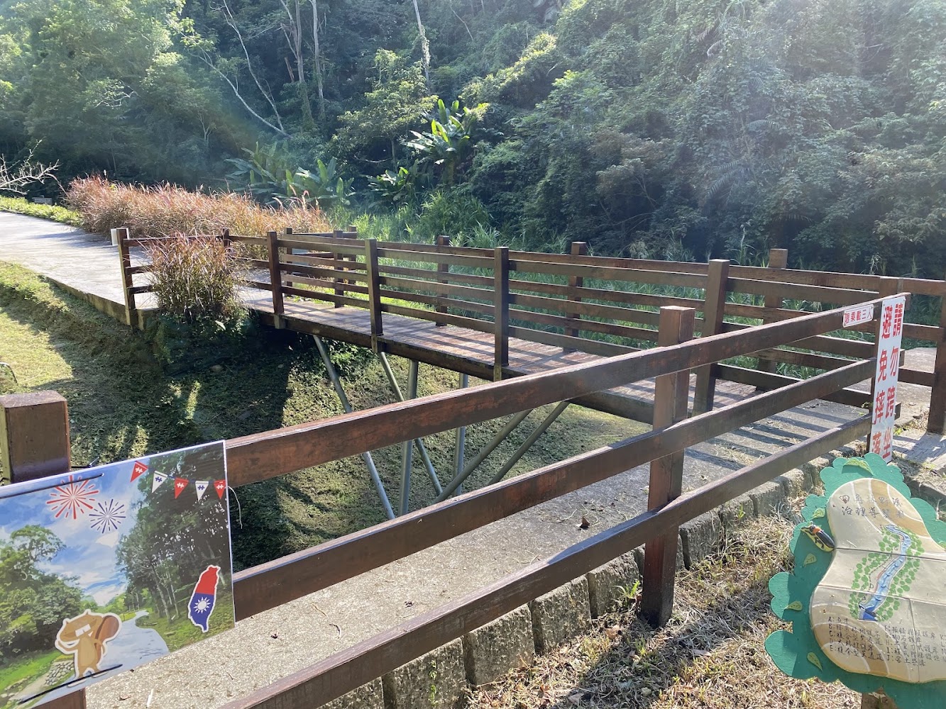 木製步道橋與樹林圍繞的景色