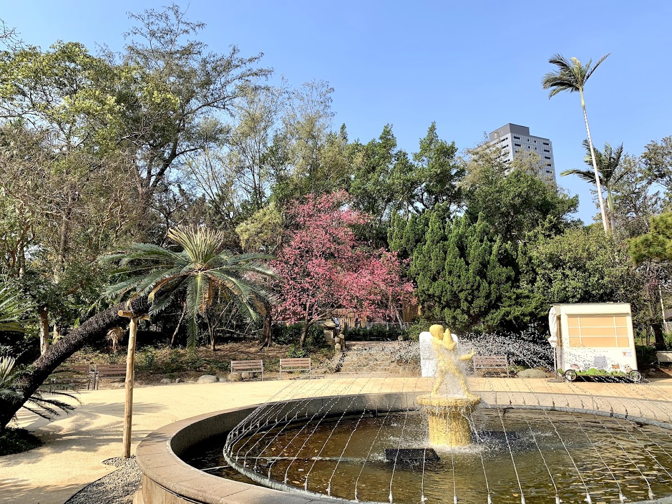 園區周邊噴水池與熱帶植物景觀