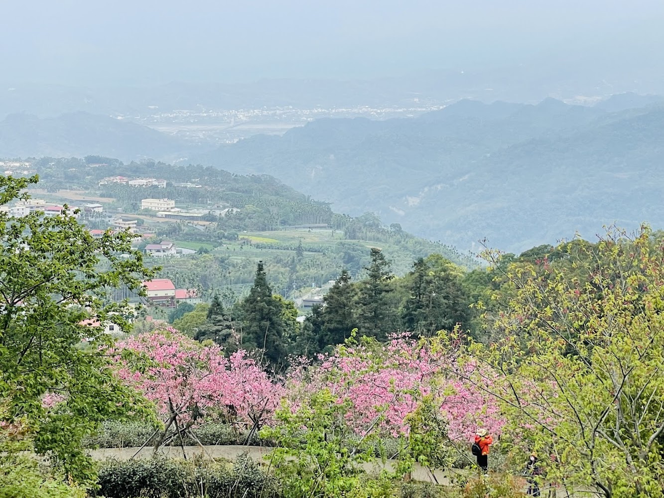 鳳凰自然教育園區山景與花木步道