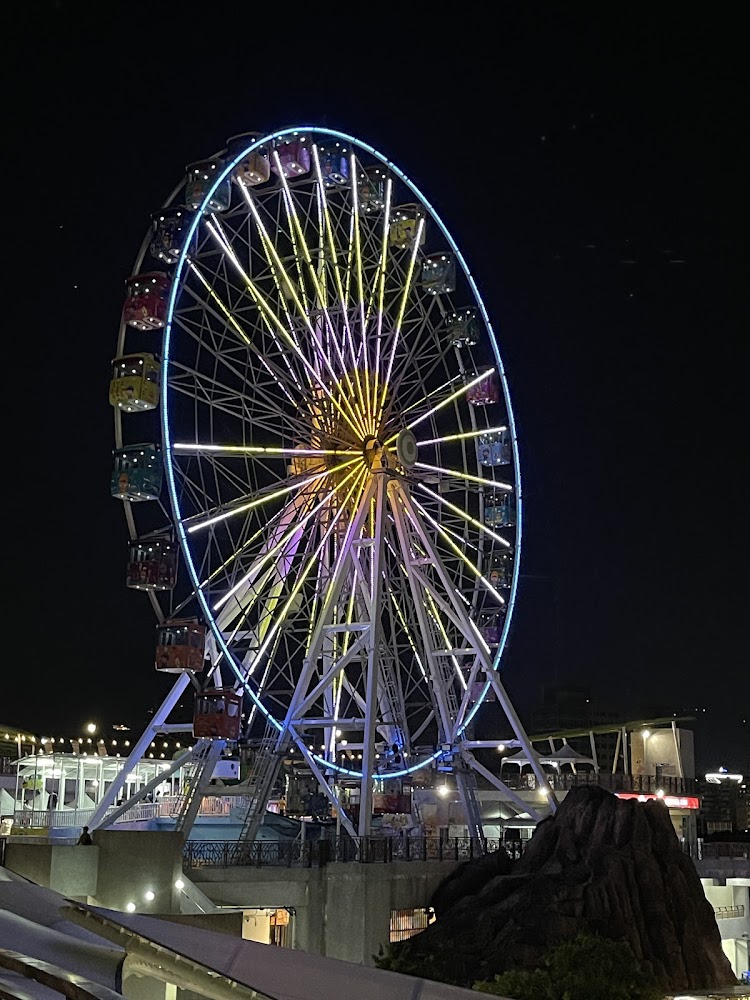 兒童新樂園摩天輪夜景