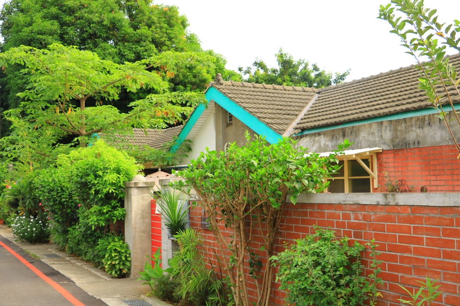 紅磚圍牆平房與綠樹環繞的馬祖新村建築