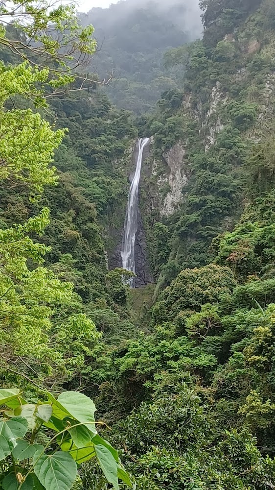 高聳瀑布與山林景觀