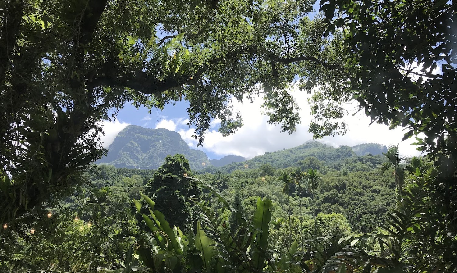 Hamoana星空帳篷露營地山林遠景