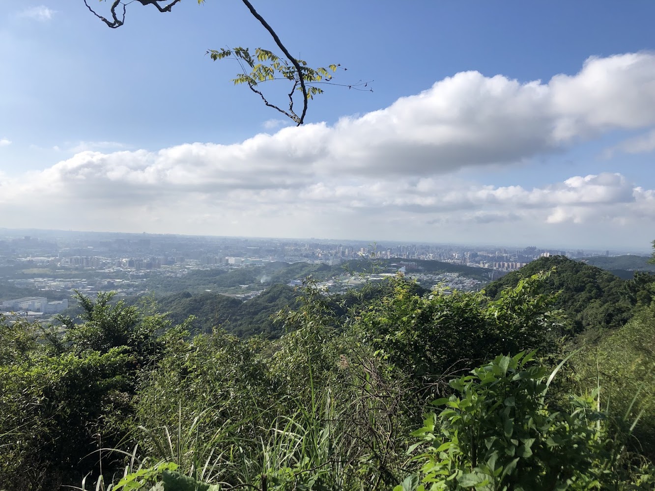 百年大榕樹附近可遠眺平原與都市景色