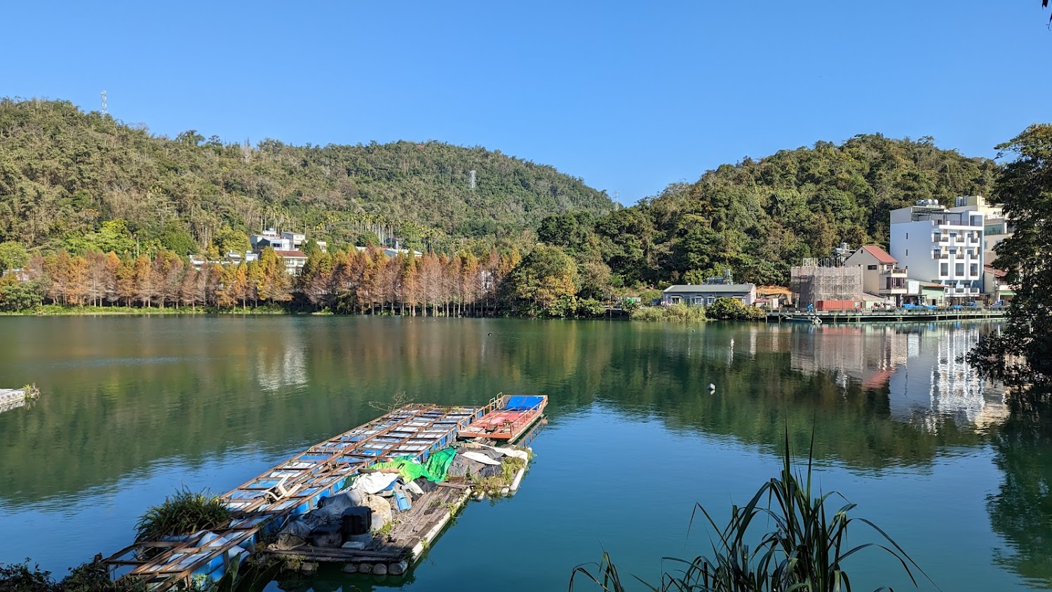 湖面漂浮木筏湖邊樹林建築背景青翠山丘