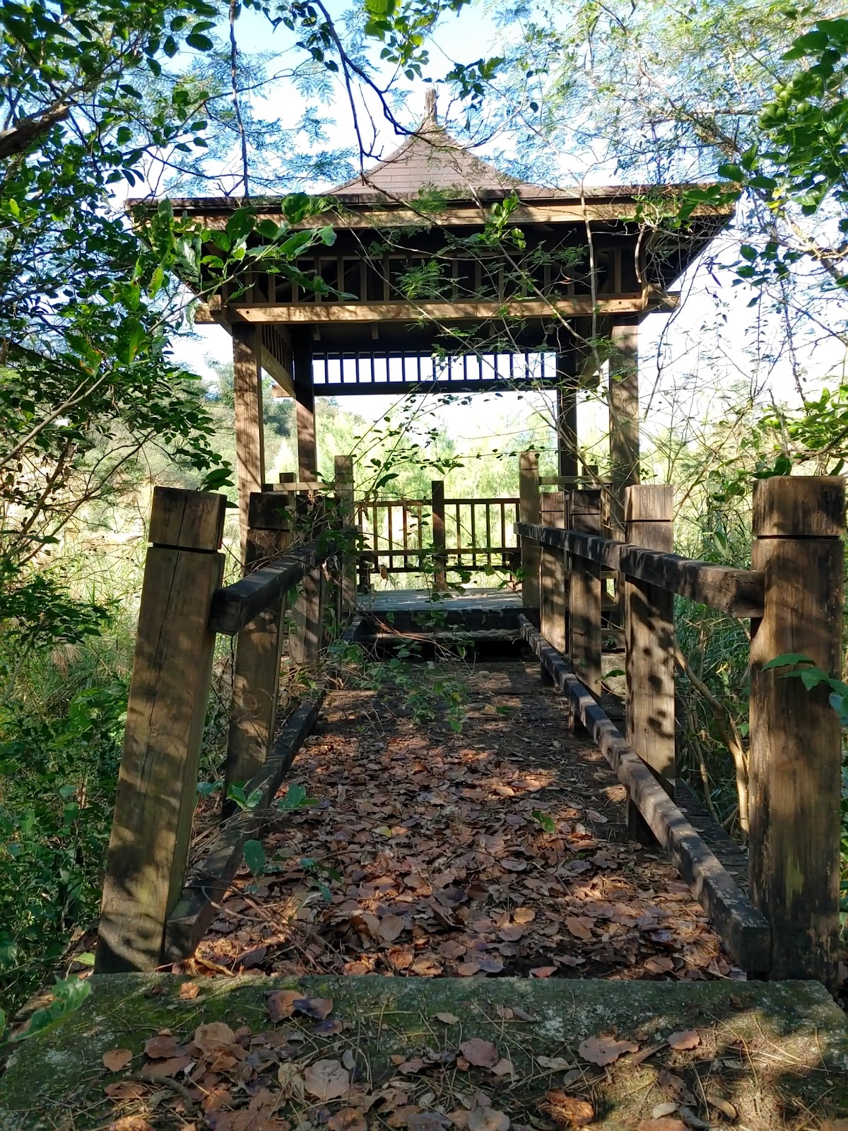 龍崎牛埔惡地地質公園木造觀景亭,落葉鋪地,林木環繞
