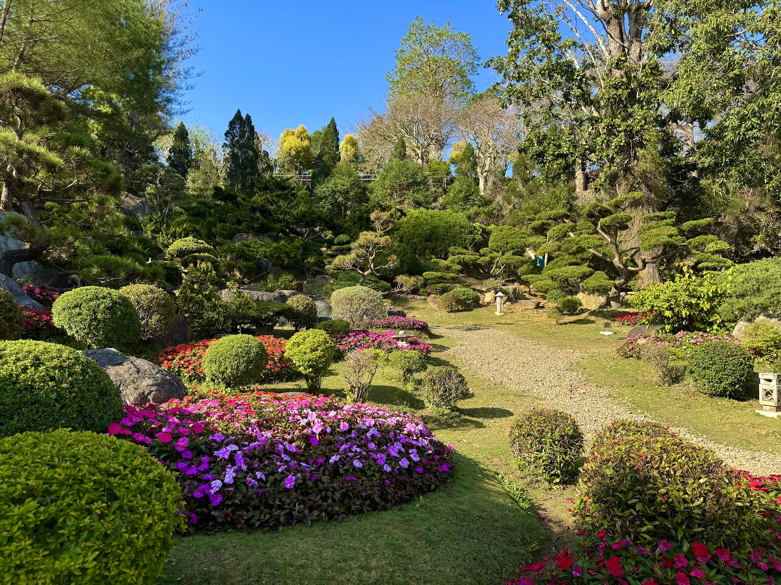 苗栗頭份品園日式花園彩色花卉精修灌木石徑景觀