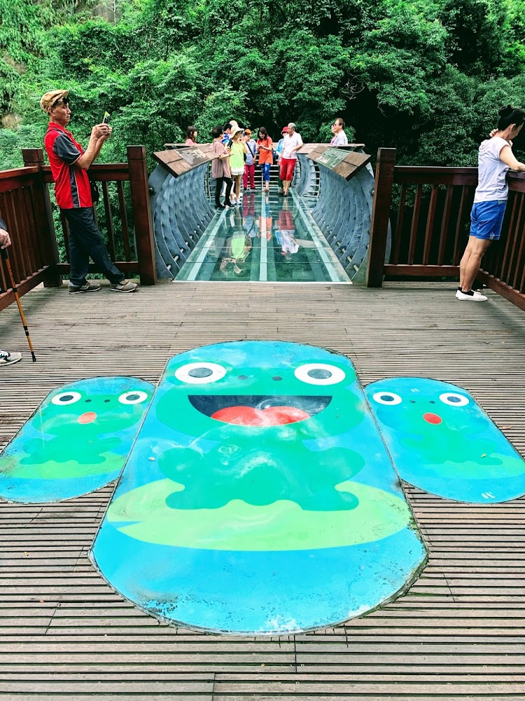 玻璃吊橋上的青蛙圖案