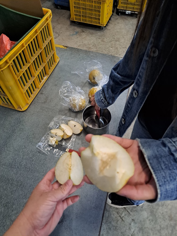 兩人正在分切梨子試吃