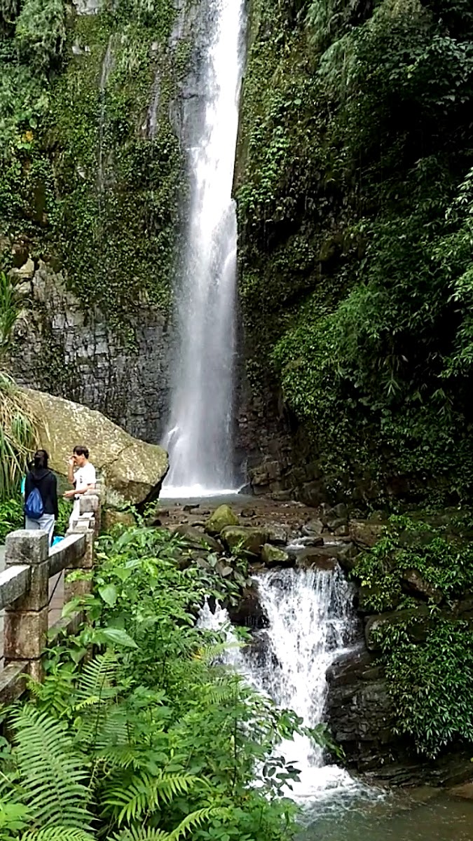 遊客站在龍鳳瀑布步道石砌觀景平台上,蕨類植物圍繞,瀑布在背後