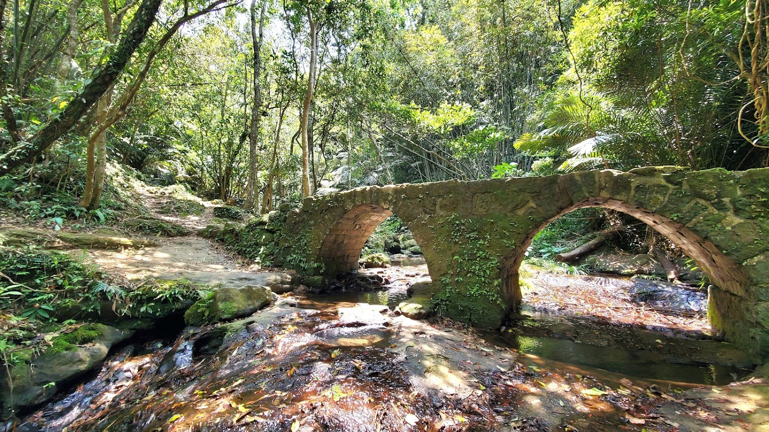 打鐵寮古道古老石拱橋與林間溪谷景色