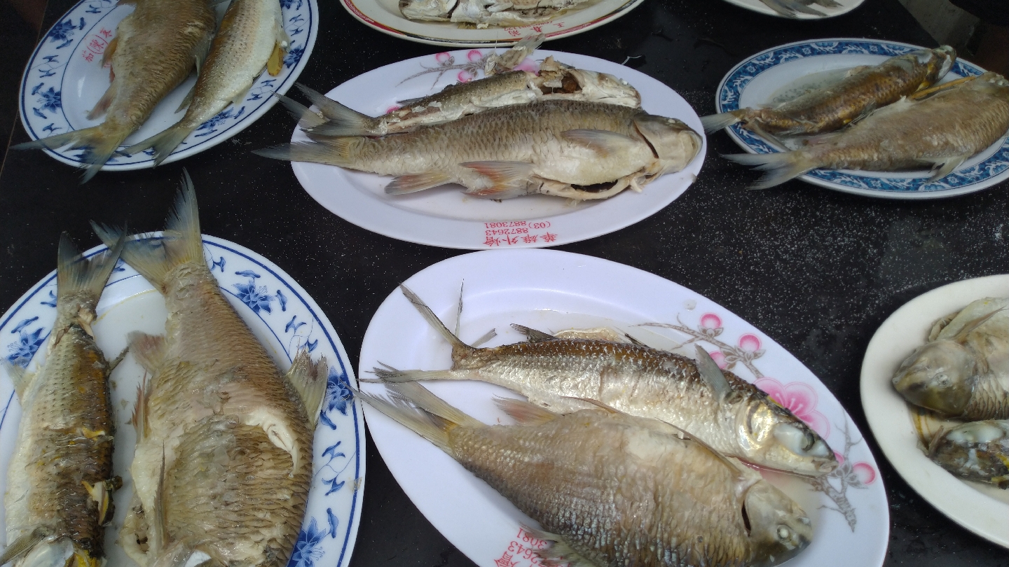 奇美部落阿美族傳統食物蒸魚料理花蓮豐濱文化體驗