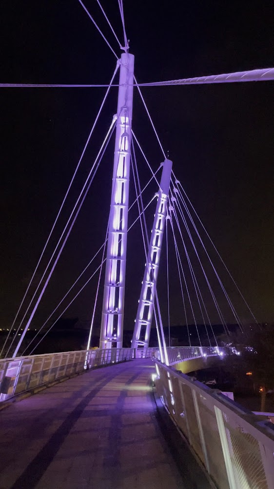 沙鹿之翼夜間點燈景色