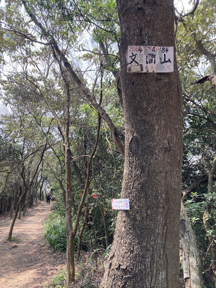 文間山步道與指標
