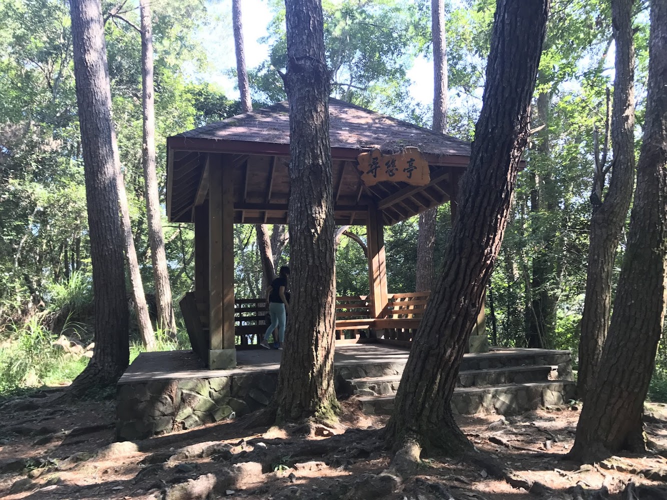 八仙山森林遊樂區琴笙亭