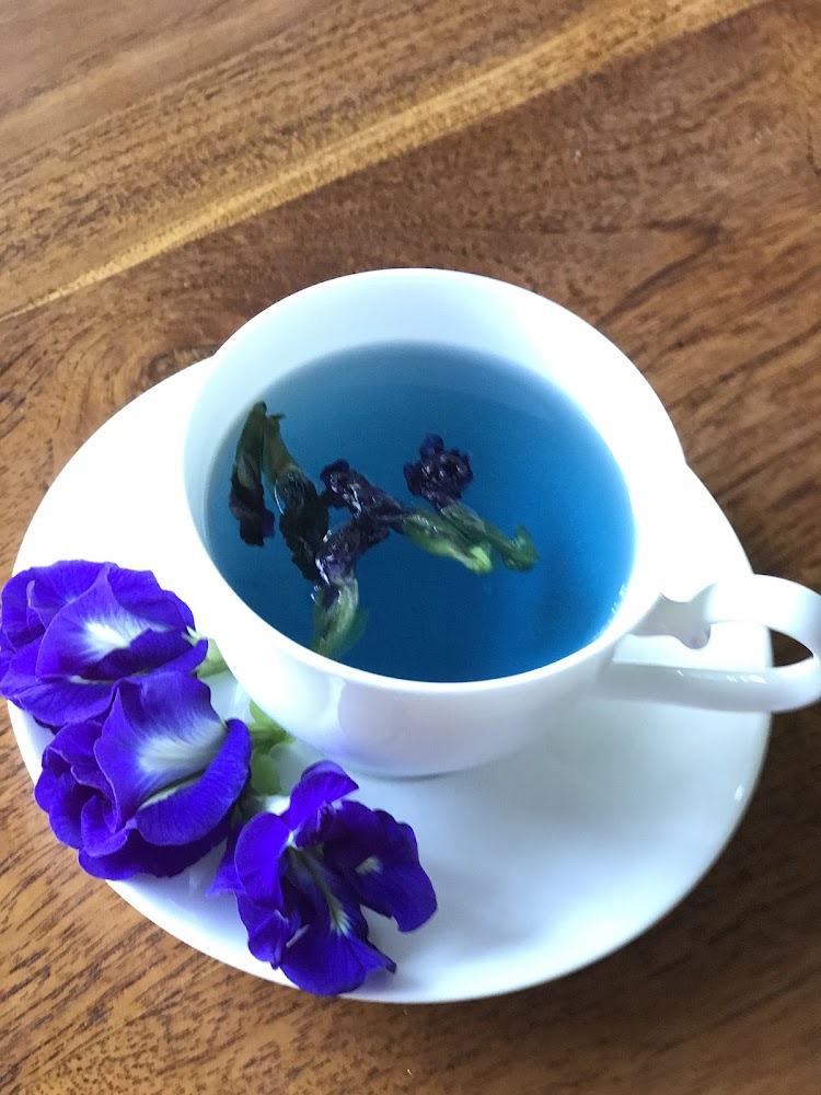 蝶豆花茶飲