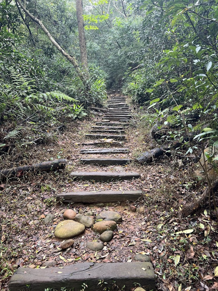 四月雪小徑林間階梯步道