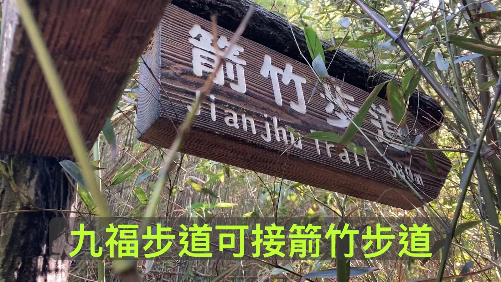九芎湖九福步道山林自然景色,綠蔭步道
