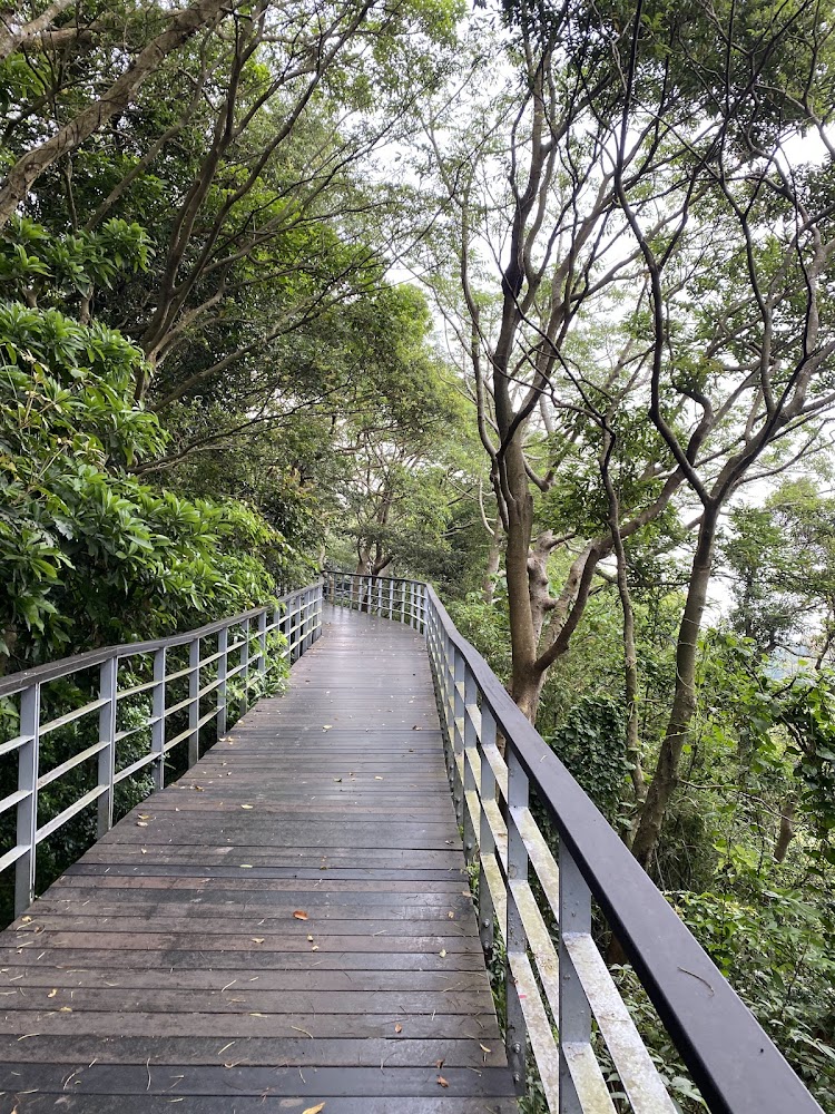 觀音山森林木棧道步道景觀