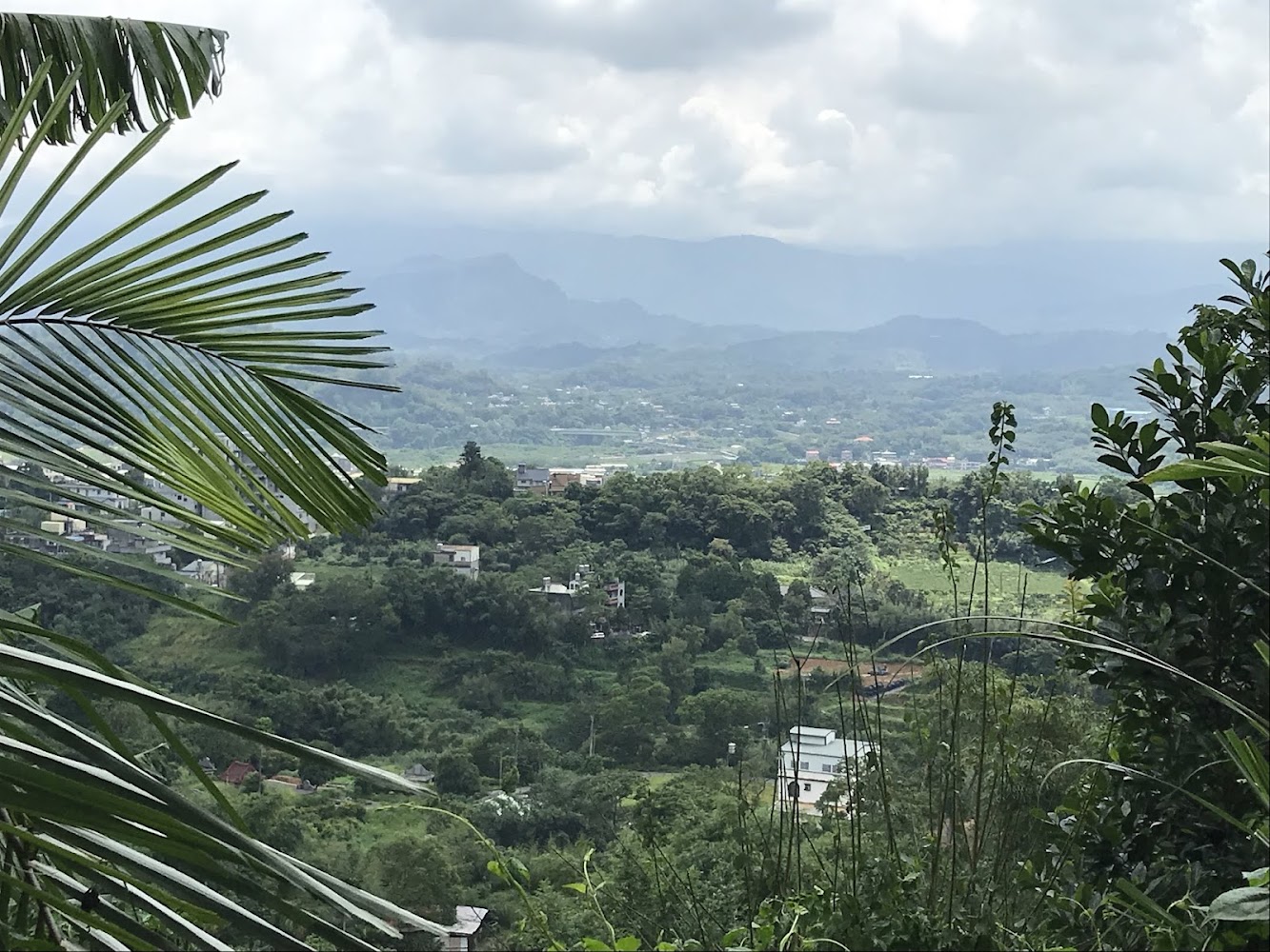 老崎古道山谷遠景與茂密植被