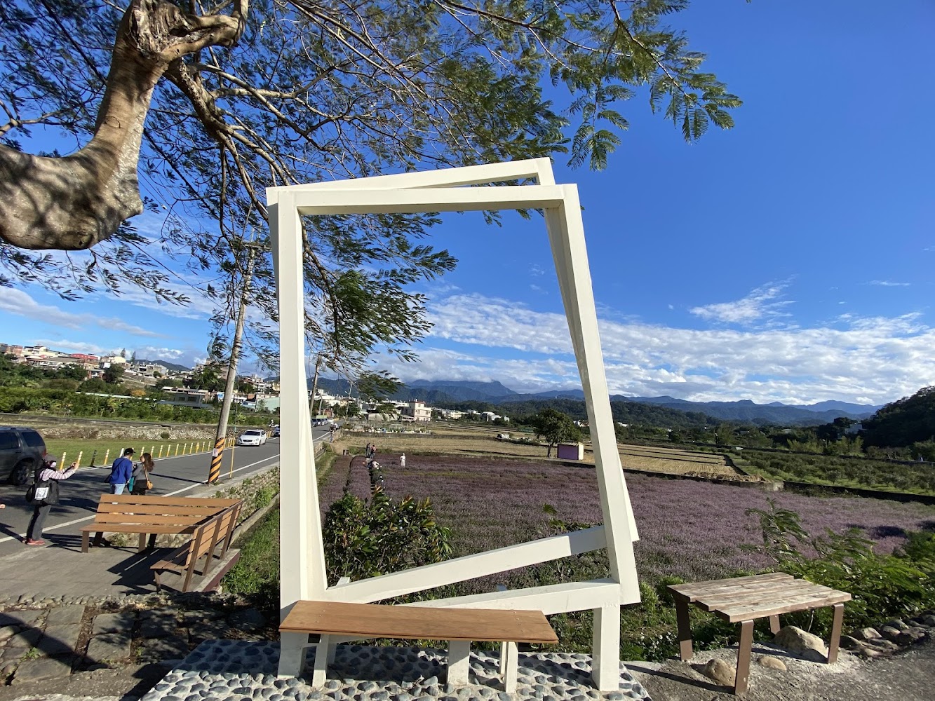南山鳳凰花樹白色相框與田野景色