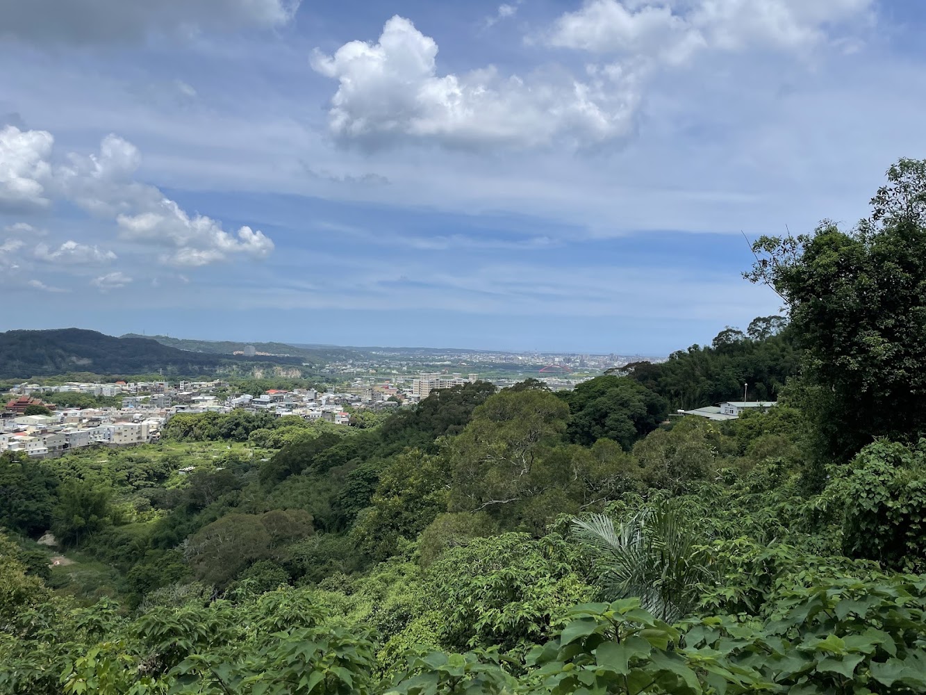 楓林隧道周邊山坡俯瞰城市景觀