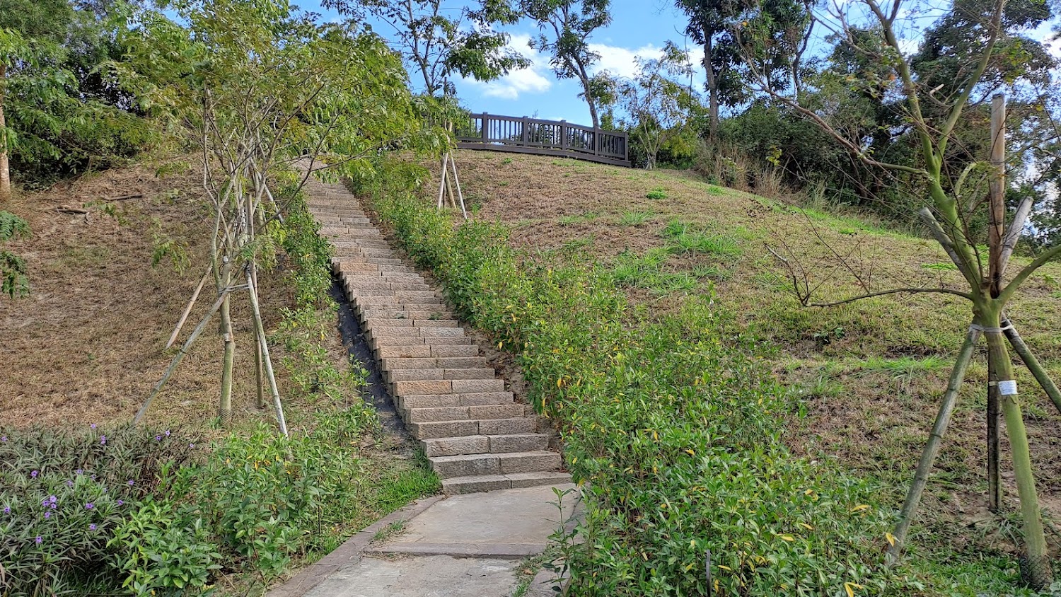石階步道通往觀景平台