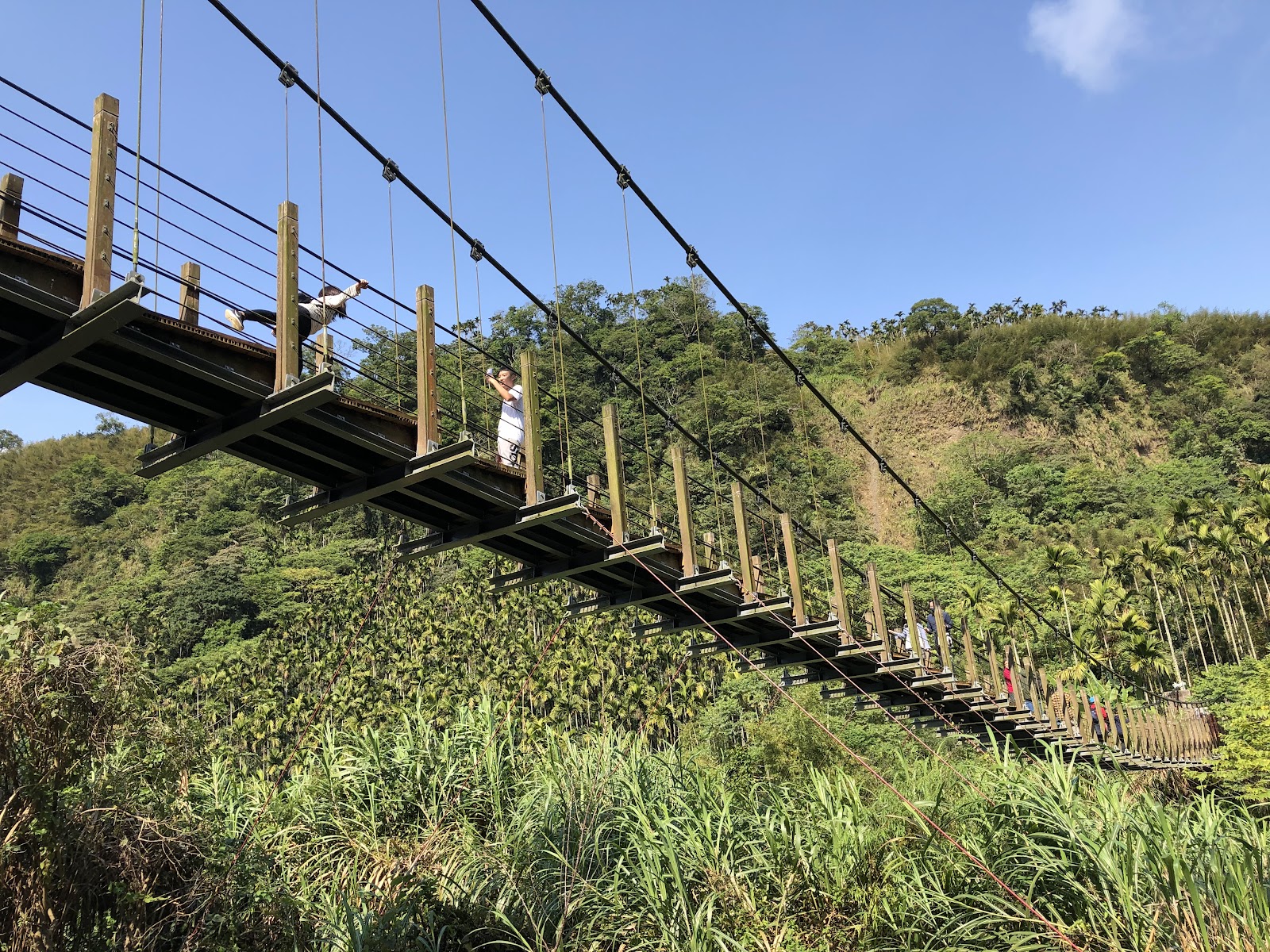 華山休閒農業區自然步道景觀